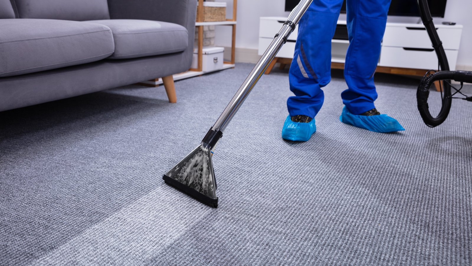 Carpet Cleaning Services